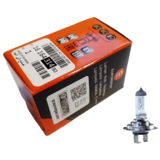 E:AMPOULE H7
