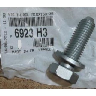 VIS TH RDL M10X150-35