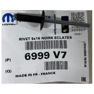 RIVET NOIRS ECLATES