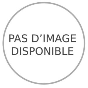 RAIL DE GUID