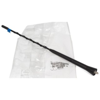 BRIN ANTENNE