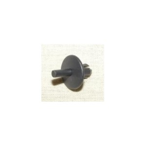RIVET