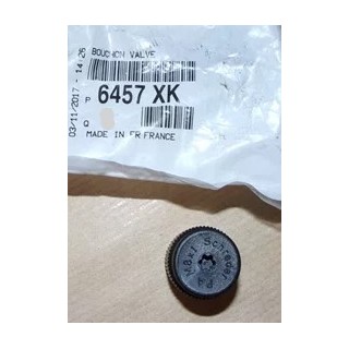 BOUCHON DE VALVE REFRIGERATION