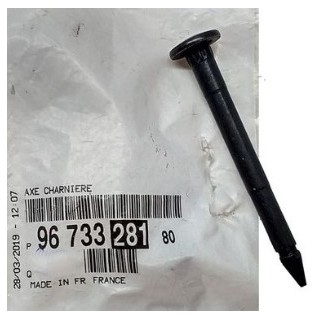 AXE DE CHARNIERE DE PORTE