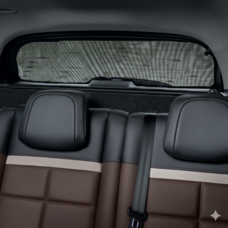 STORE PARE-SOLEIL DE VITRE DE LUNETTE ARRIERE